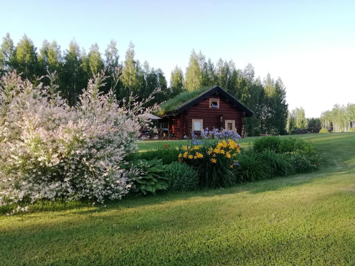 Paeikseranna Holiday Centre Villa Nedsaja Dış mekan fotoğraf
